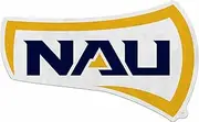 Rico Industries NCAA Northern Arizona Lumberjacks Primary Shape Cut Pennant - Home and Living Room Décor - Soft Felt EZ to Hang