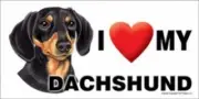 MAGNET--I (Heart) Love My DACHSHUND-BK & TAN 4" X 8" Auto, Fridge, Locker Magnet