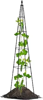 Plant Trellis - Trellis for Potted Plants | Garden Trellis Fence Panel | Trellis for Climbing Plants Indoor | Vine Ivy Flower Cage | Frame for Potted Growth Garden Lawn Patio Decor Outdoor
