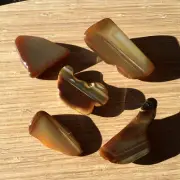 5 Polished Geode Rock Slices End Cut Stones Natural Brown Banded Agate Crystals
