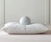 Luxury Feathers Down Pillow Queen/Standard Size, Hotel Quality Fluffy Bed