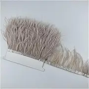 QR 1 Meter 8-10CM Ostrich Feather Trims Natural Ostrich Feather for Crafts Ribbon Fringe for Skirt Wedding Decoration D19 (Color : 31 Light Brown)