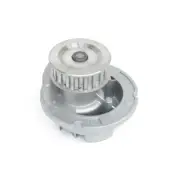 Engine Water Pump for Chevrolet, Fiat - Corsa, Meriva, Tornado, Palio, Strada, (for: Chevrolet)
