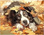Dog Paint by Numbers Kit for Adults - DIY Cozy Border Collie Resting in Autumn Leaves Painting on Canvas 16x20 Inches, Acrylic Paint Set for Beginners, Pet Lover Art for Home Decoration or Gifts