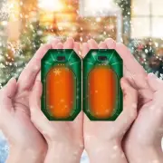 Hand Warmers Rechargeable, 2 Pack Electric Hand Warmers Reusable, Electric Po...