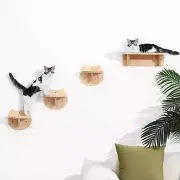 4Pcs Cat Wall Shelf & Steps Set - Wooden Perches for Climbing & Resting