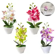 Fake Bonsai Artificial Flower Orchid Flowers 27cm Height Artificial Floral Décor