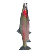 Trout 36" Fishsock (Windsock)..9... ITB 4963