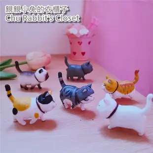 Chu Rabbit’s Closet 創意公仔 貓咪 暹羅貓/美短/黑白貓/橘貓/三色貓 扭蛋/公仔/擺件/桌面裝飾