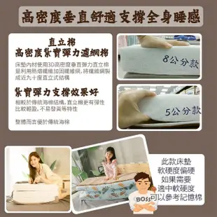 【BOSS BEDDING 小老闆寢具】雙人5尺冬夏亞藤透氣5公分床墊(折疊床｜雙層床｜薄床墊｜宿舍床｜露營床)