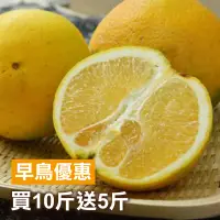 在飛比找台灣好農優惠-【金滿意】優良肚臍柑買10斤送5斤(共15台斤/箱)