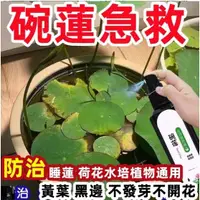 在飛比找蝦皮購物優惠-【.臺灣/出貨】 碗蓮專用營養液 睡蓮荷花通用 水培通用水溶