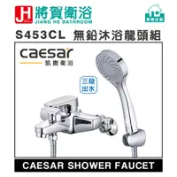 在飛比找蝦皮購物優惠-(將賀網衛浴=實體店面) caesar(凱撒) S453CL