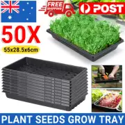 50 Pcs Garden Black Plastic Rectangle Plant Seedling Propagation Seeding Trays