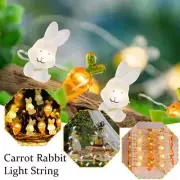 Spring String Lights Spring Decor Fairy Lights Easter Egg Bunny Ornaments~
