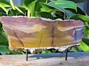 Polished Smooth & Raw Mookaite Mineral Slice From Australia 277 Grams With Stand