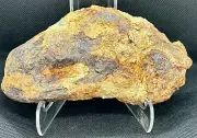 METEORITE MUONIONALUSTA ROUGH SPECIMEN 1912 g