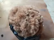 Rockleigh Alpacas - Alpaca Fleece - Fawn - Sara - 800g