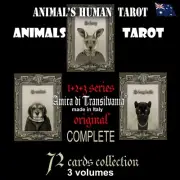 tarot card cards deck oracle animal spitit guide book collection complete series