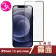 iPhone 13 Pro Max 6.7吋 滿版霧面9H玻璃鋼化膜手機保護貼(3入 13PROMAX鋼化膜 13PROMAX保護貼)
