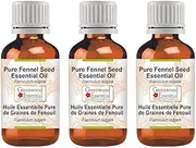 Greenwood Essential Pure Fennel Seed Essential Oil (Foeniculum vulgare) 100% Natural Therapeutic Grade Steam Distilled for Personal Care (Pack of Three) 100ml X 3 (10oz)