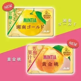 有發票 日本帶回 Asahi 朝日 MINTIA 口含錠涼糖 口氣清新糖 喉糖