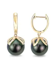 Imperial 14K 11-12mm Tahitian Pearl Earrings
