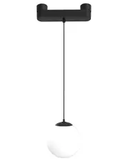 Skywire 24V LED Ball Pendant in Black with Opal Shade