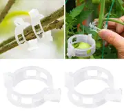 100x Tomato Greenhouse Garden Plant Support Veggie Clips Trellis Twine Clear