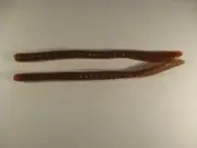 6" Flat Tail Worms Pumpkin Seed