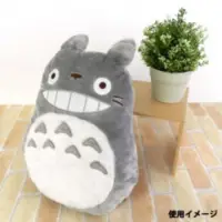 在飛比找蝦皮購物優惠-現貨！日本正版 宮崎駿 TOTORO 龍貓 抱枕 大龍貓 灰