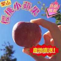 在飛比找樂天市場購物網優惠-【緁迪水果JDFruit】台灣福壽山-新品種 櫻桃蜜蘋果 4