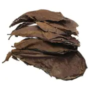 Natural Terminalia Catappa Leaves Aquarium Decoration Fish Tank Cleaning