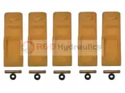 Standard Chisel Bucket Teeth | CAT Style | With Pins & Retainers | 1U3202 | 5 PK