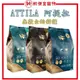 純粹便宜寵物 【ATTILA阿提拉】健康無穀貓糧 1.8kg 貓糧 無穀貓糧 貓飼料~純