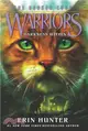 #4: Darkness Within (Warriors: The Broken Code)