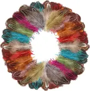 120 Pcs Pheasant Plumage Feathers 2-3 Inches Natural Fluffy Feathers for Crafts