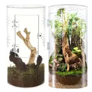Jumping Spider Complete Full Spider Set Up Enclosure With Front Opening Door