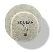 All Day Squeak All Day Fetch Ball Dog Toy Grey