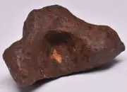 MUNDRABILLA IRON METEORITE, AUSTRALIA MT31