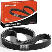 A-Premium Engine Serpentine Drive Belt Compatible with Blue Bird, Freightliner & Sterling Truck Cars - SHL TC2000, FC70, FC80, FL50, FL60, FL70, FL80, FS65, MT45, SC7000 Cargo, 5.9L 6.4L 7.2L 8.3L