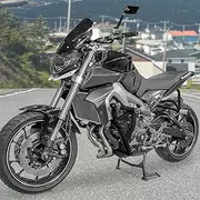 Motorcycle Highway Stunt Cage Crash Bars Engine Guard Rear Passenger Foot Pegs Kit Compatible with MT-09 MT09 FZ-09 FZ09 2013 2014 2015 2016 Steel Body Frame Falling Protector Bumper, Black
