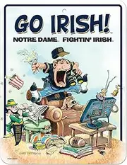 Rico Industries NCAA Notre Dame Fighting Irish - ND Gary Patterson The Fan 8.5" x 11" Carbon Fiber Metal Parking Sign - Great for Man Cave, Bed Room, Office, Home Décor