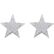 14k White Gold Round Diamond Star Cluster Stud Earrings 1/4 Cttw