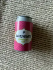 American Girl can of strawberry kiwi sparkling water soda pop for 18" doll NEW