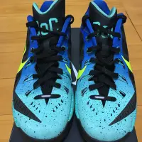 在飛比找蝦皮購物優惠-Nike Hyperdunk 2014 low city p