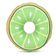 Wags And Wiggles Floating Lime Ring Toy