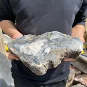 9.2lb Natural petrified wood rough silicified wood mineral specimen healing