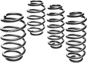 [Eibach] E10-15-021-03-22 Pro-Kit Performance Spring Set Of 4
