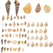 Ipetboom 2 Boxes Hermit Crab Shell Hermit Crab Food Ecological Bottle Shell Kit Miniature Shells Beach Desk Topper Shell Conch Decor Hermit Crab Climbing Toys Sea Decor Wedding Sea ​​Urchin